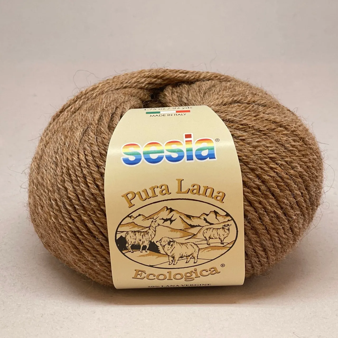 Lana Ecologica 10Ply