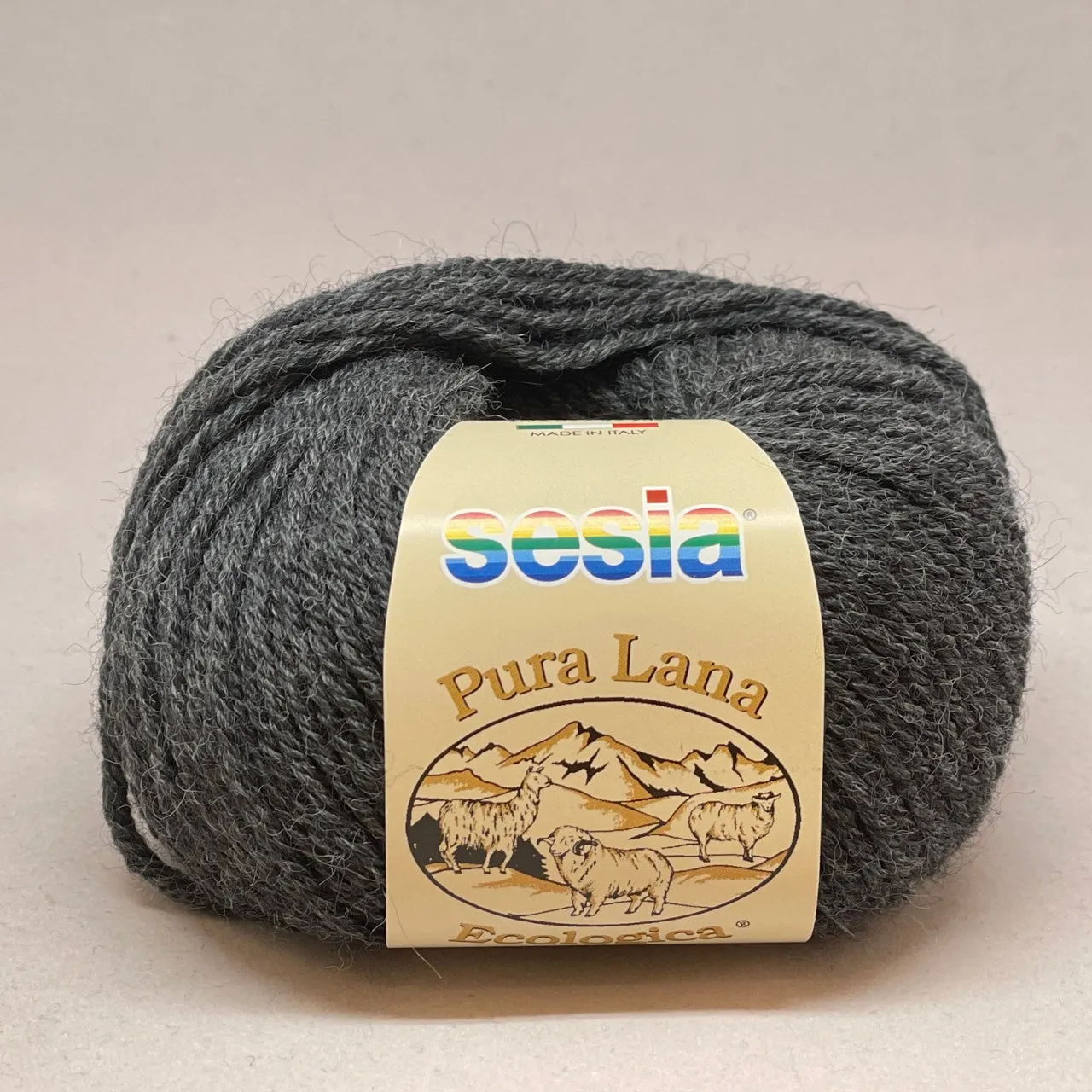 Lana Ecologica 10Ply