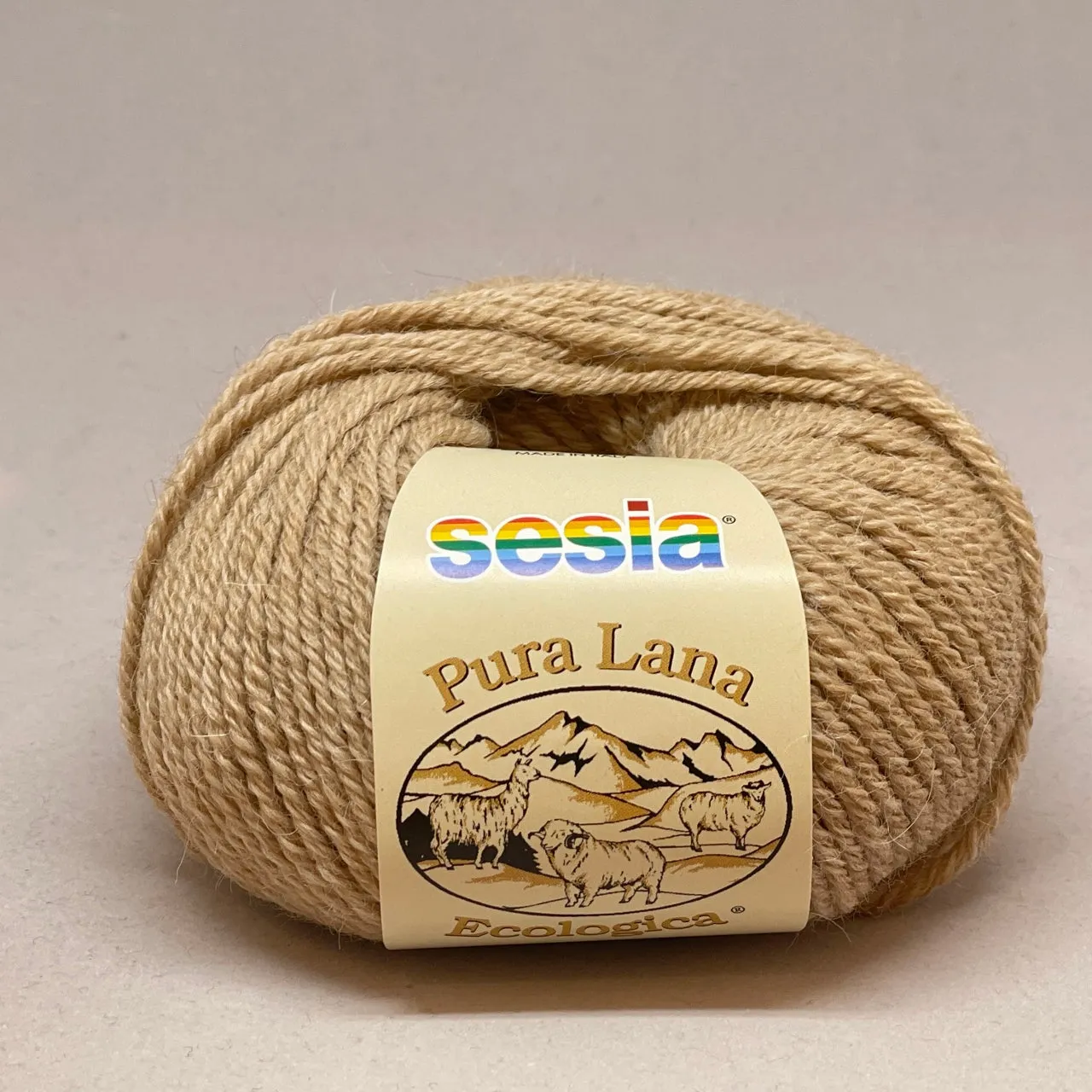 Lana Ecologica 10Ply
